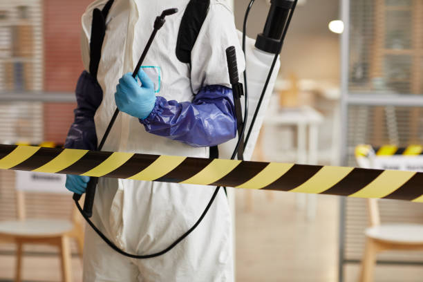 Professional Hoarding Cleanup technician working in Edroy, TX